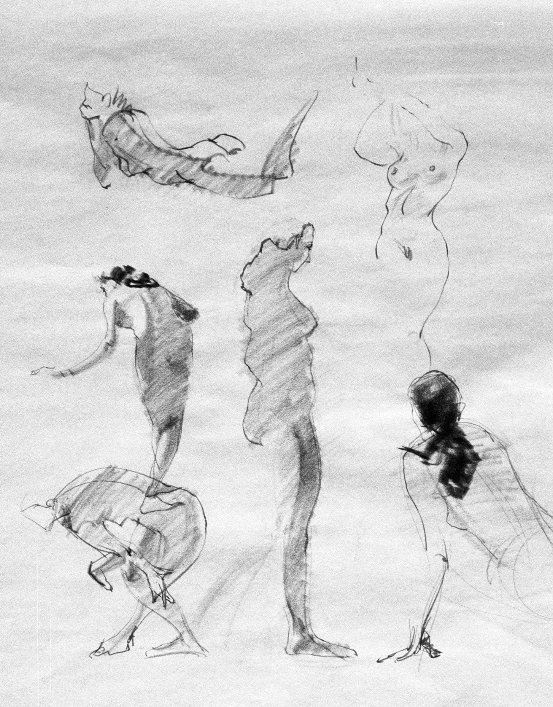 life drawing 12 - Drawing 12